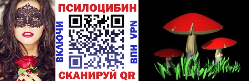 Купить где  Семёнов  Галлюциногенные грибы мицелий 